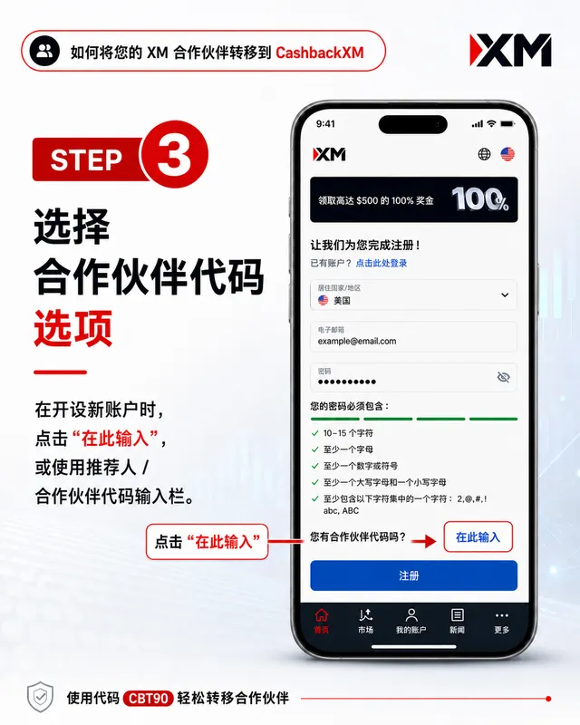 步骤 3 — 选择合作伙伴代码选项